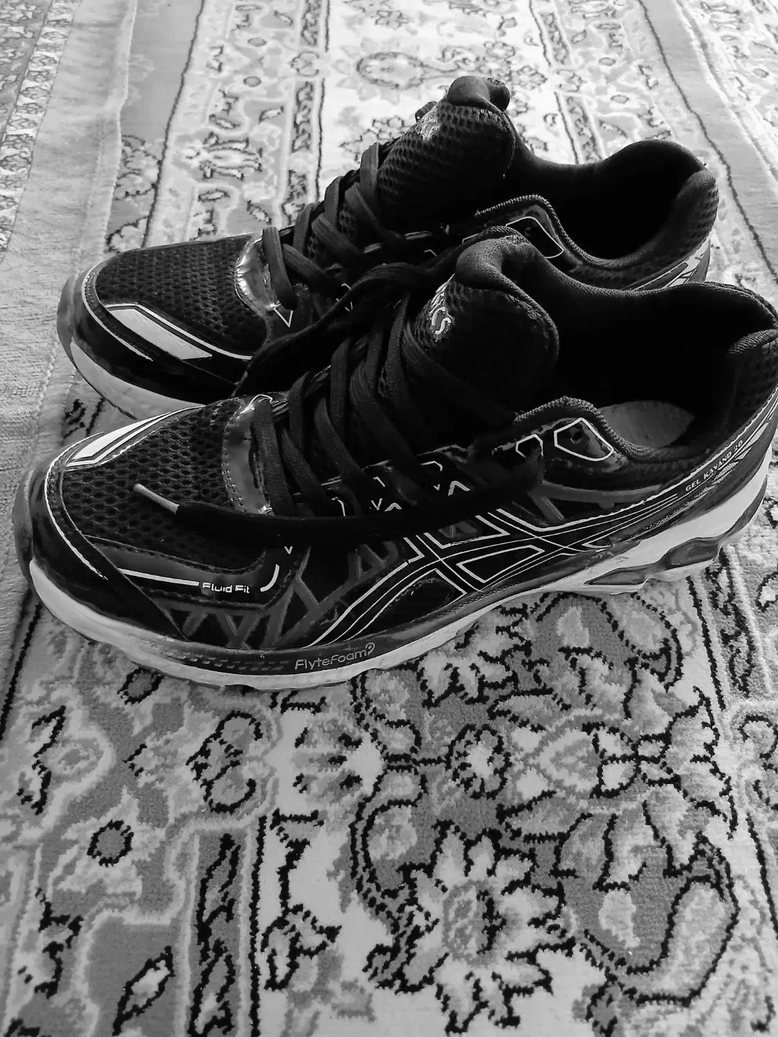 کفش مردانه|کیف، کفش، کمربند|قوچان, |دیوار