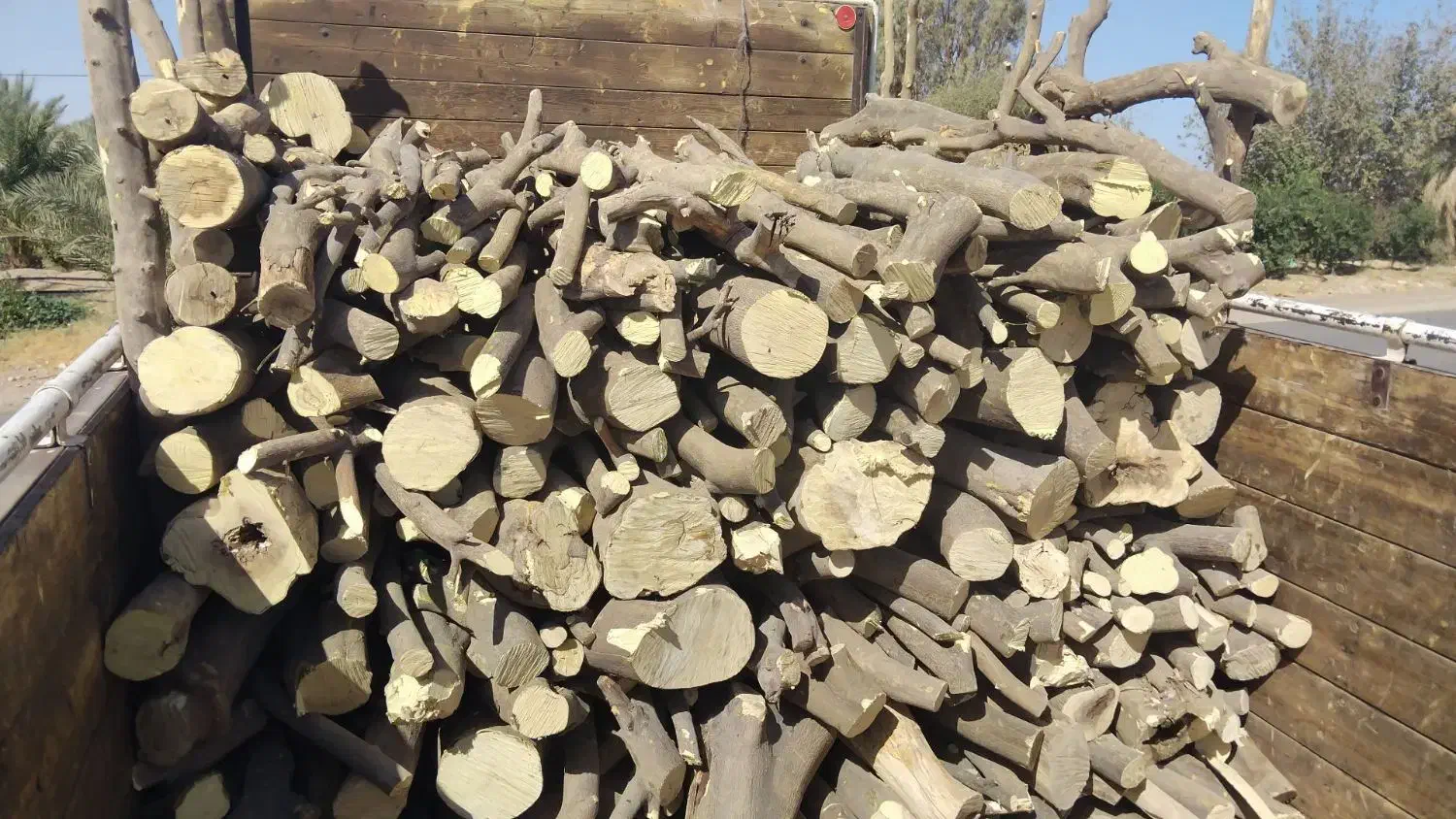 چوب|خدمات باغبانی و درختکاری|جیرفت, |دیوار