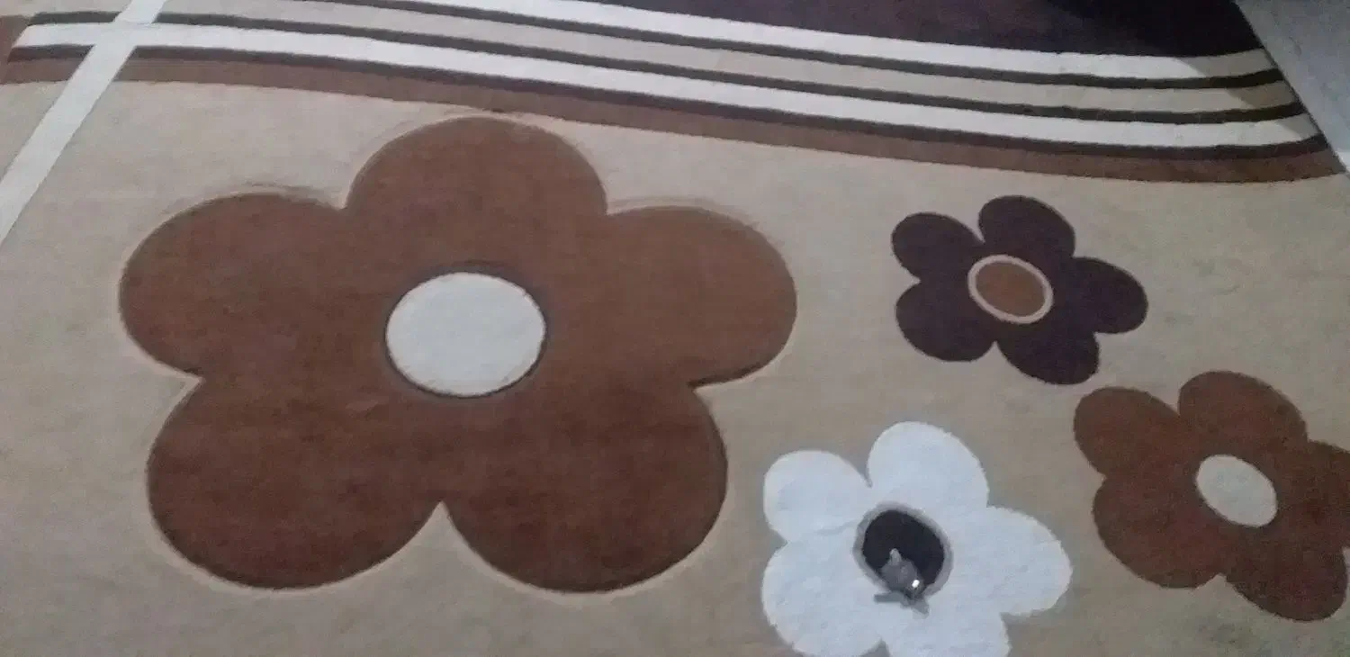 گلیم فرش تمیز ۱۲ متری|گلیم، جاجیم، گبه|یاسوج, |دیوار