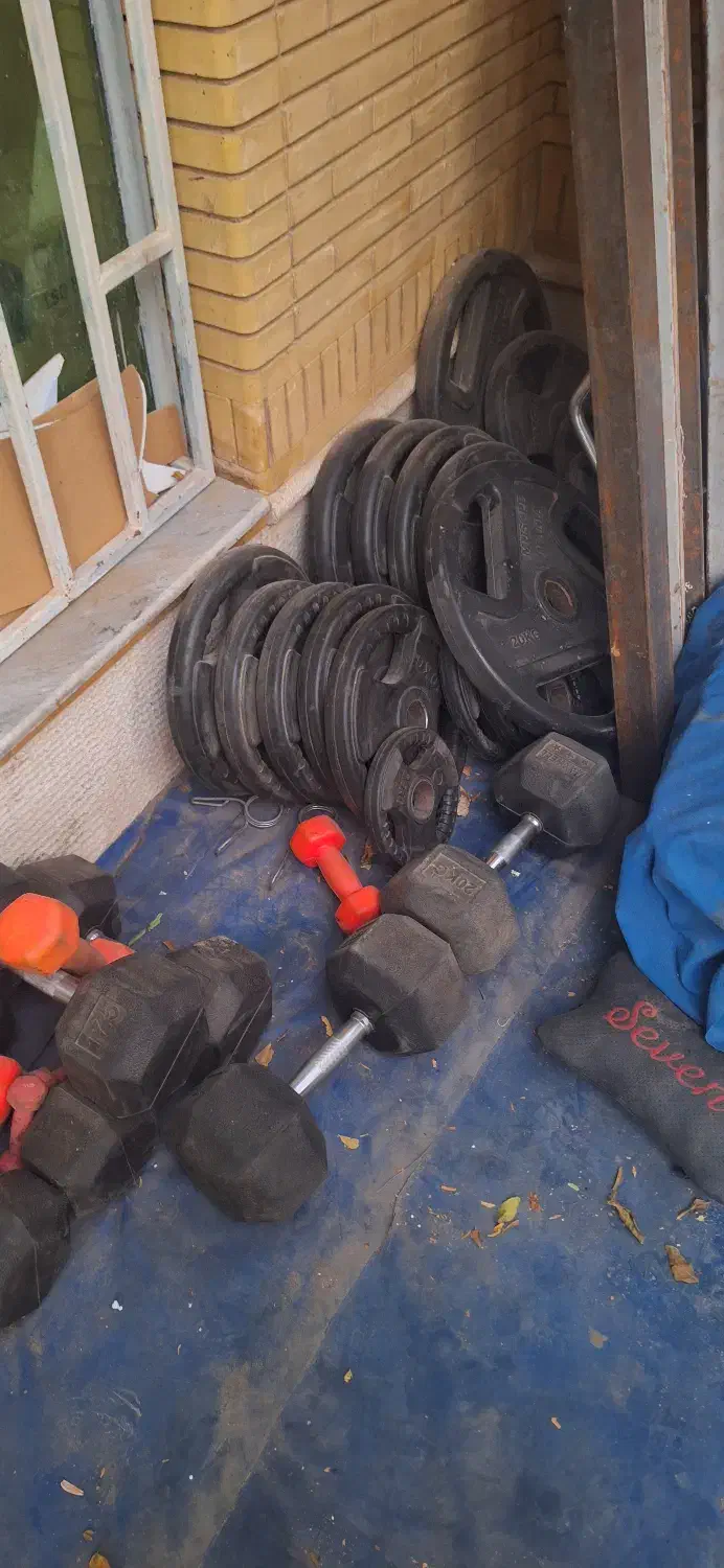 دمبل شش ضلعی وصفحه|تجهیزات ورزشی|شیراز, فرگاز|دیوار