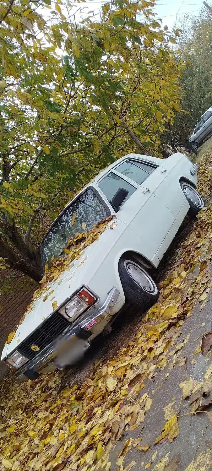 پیکان مدل ۷۹ کف خواب|خودرو سواری و وانت|بناب, |دیوار