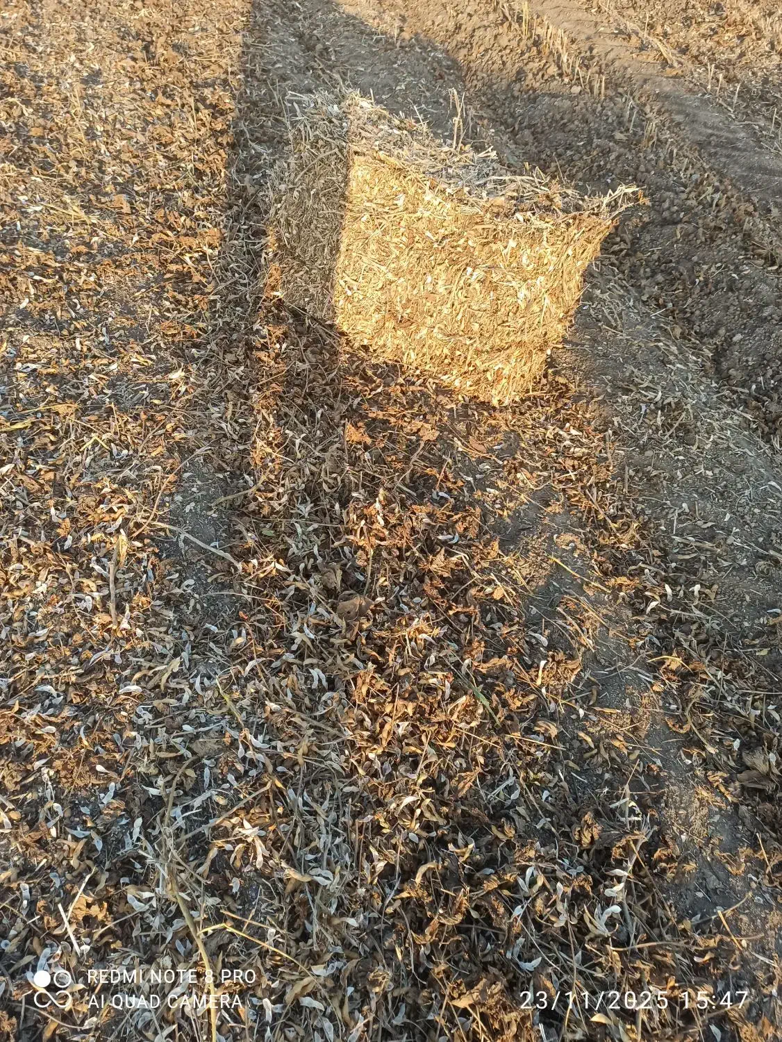 پرس سویا درجه یک|عمده‌فروشی|پارس‌آباد, |دیوار