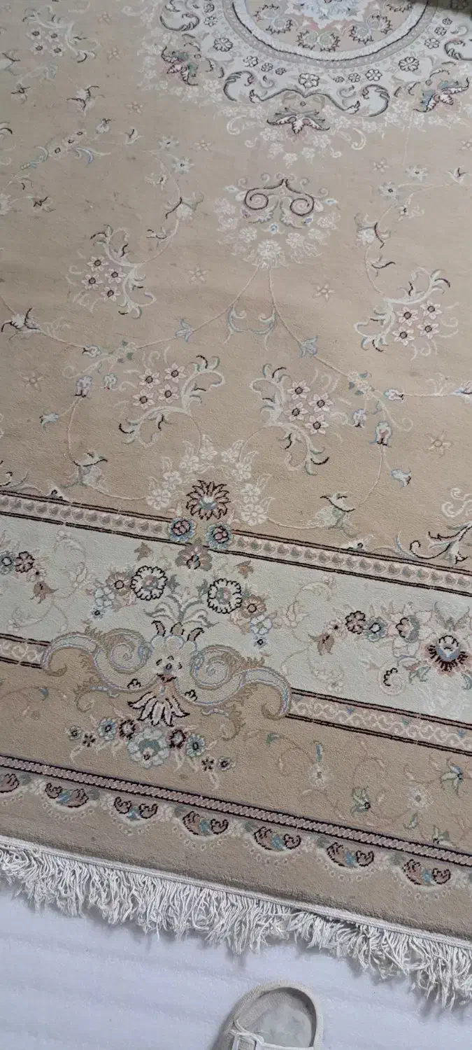 لوازم خانگی|فرش|قیدار, |دیوار