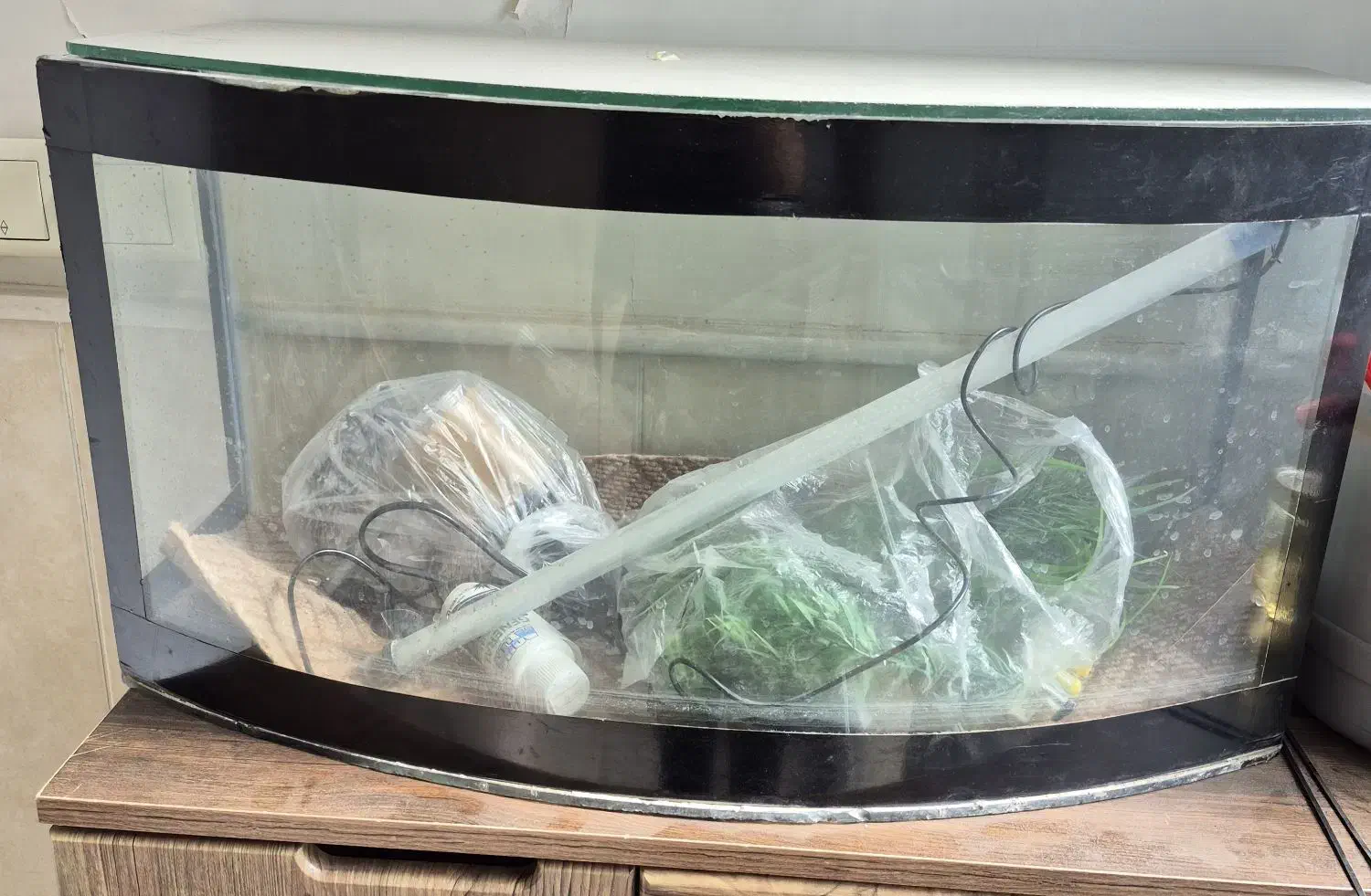 اکواریوم|ماهی|قم, باجک دو|دیوار