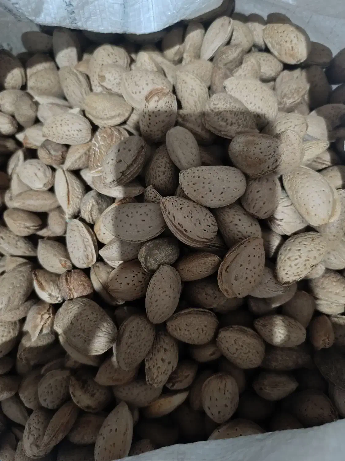 بادام سنگی|خوردنی و آشامیدنی|تهران, شادآباد|دیوار