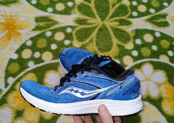 کفش ساکنی اورجینال|کیف، کفش، کمربند|کبودرآهنگ, |دیوار