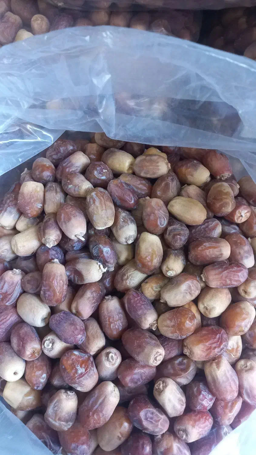 فروش خرمای قصب|خوردنی و آشامیدنی|چاه ورز, |دیوار