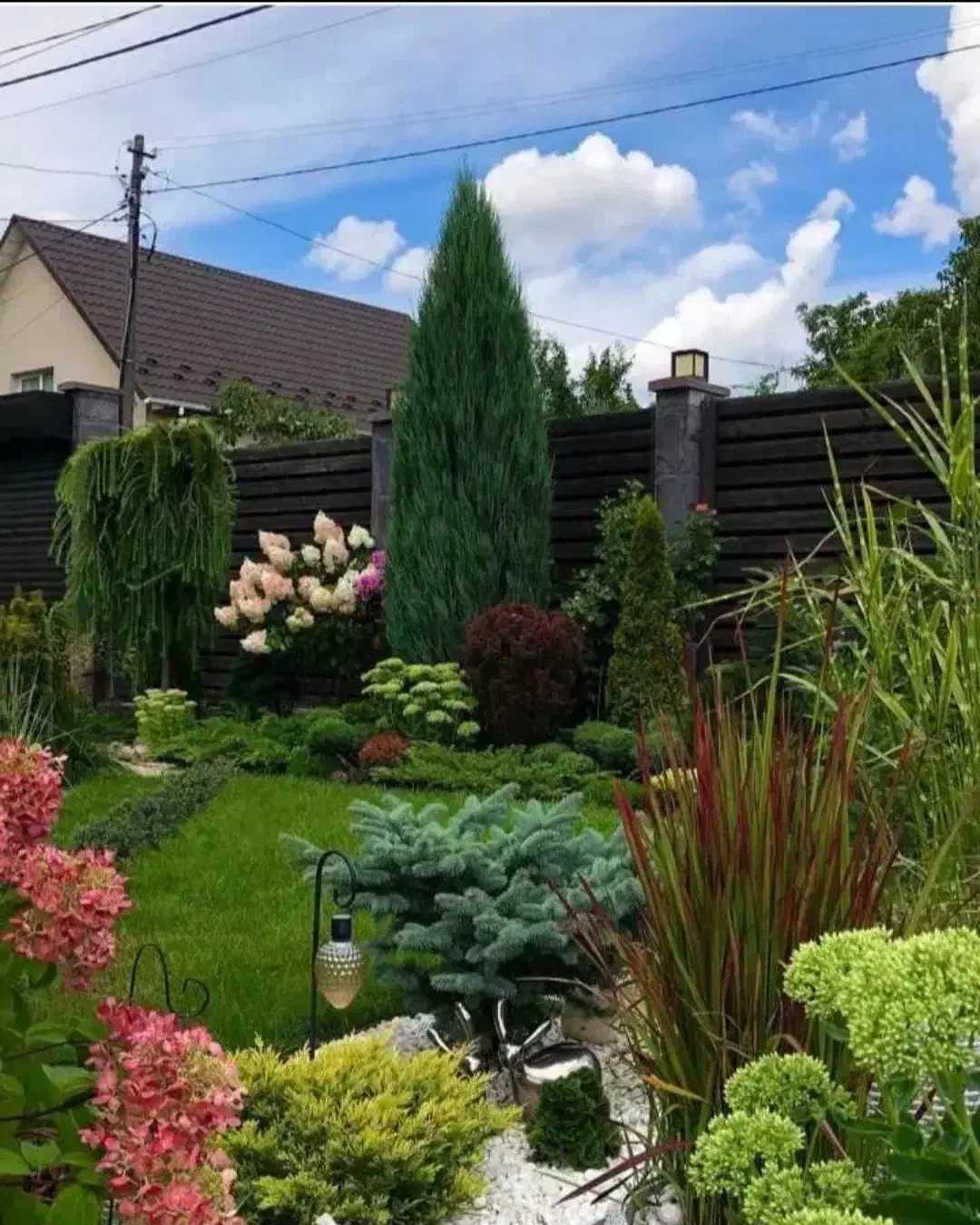 خدمات باغبانی در سراسر پردیس|خدمات باغبانی و درختکاری|پردیس, فاز ۲|دیوار