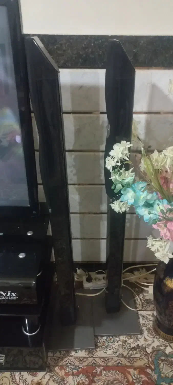 اسپیکر|سیستم صوتی خانگی|پیشوا, |دیوار