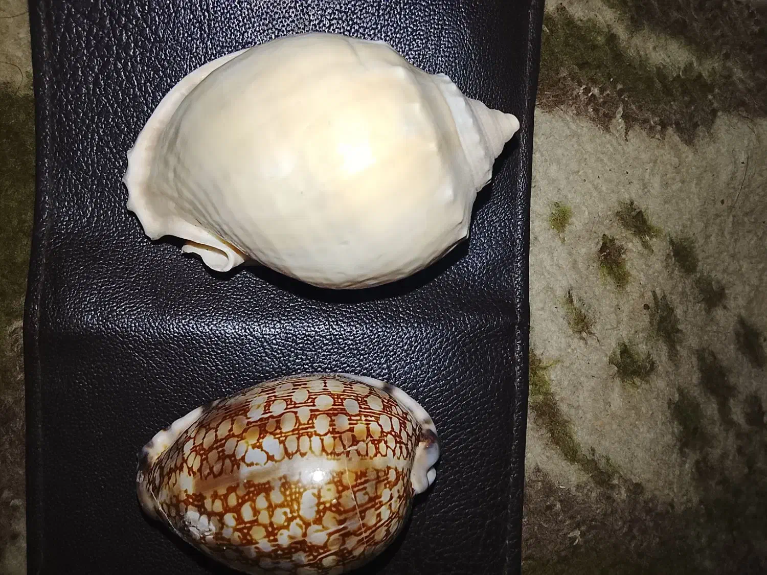 400|کلکسیون و سرگرمی|خان ببین, |دیوار