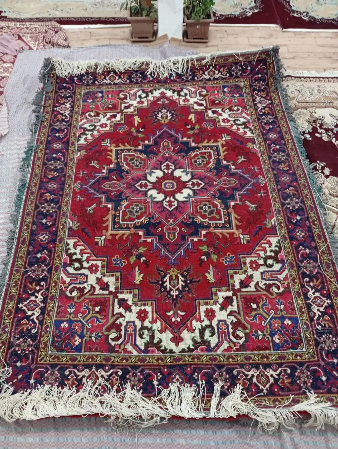 فرش خالچه هریس تاجری|فرش|تبریز, |دیوار