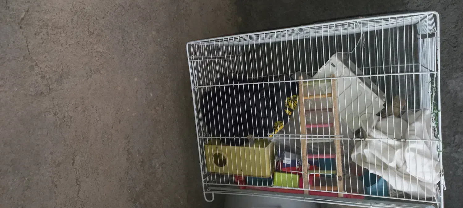 قفس با همه لوازم|لوازم جانبی حیوانات|قائن, |دیوار