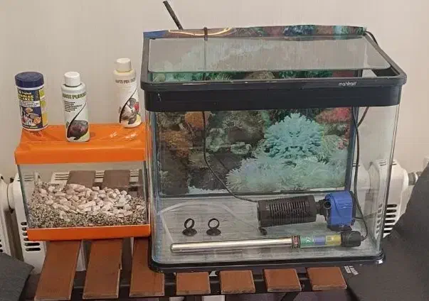 آکواریوم ماهیران شیشه خم با کل وسائل|ماهی|تهران, هروی|دیوار