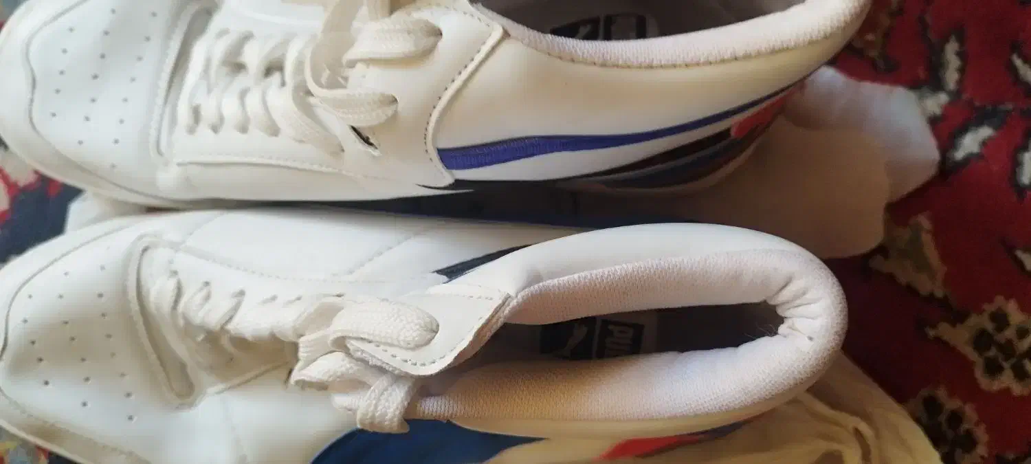 کفش مردانه|کیف، کفش، کمربند|خوسف, |دیوار