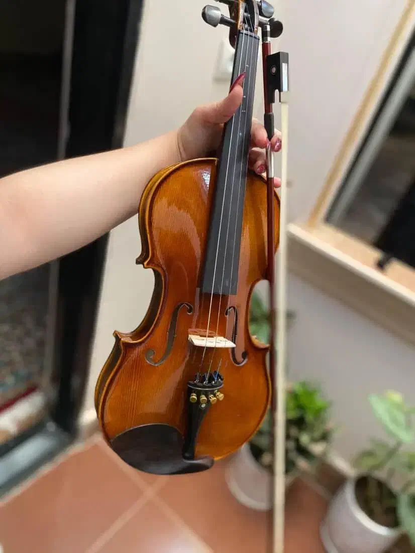 آلات موسیقی|ویولن|قزوین, |دیوار