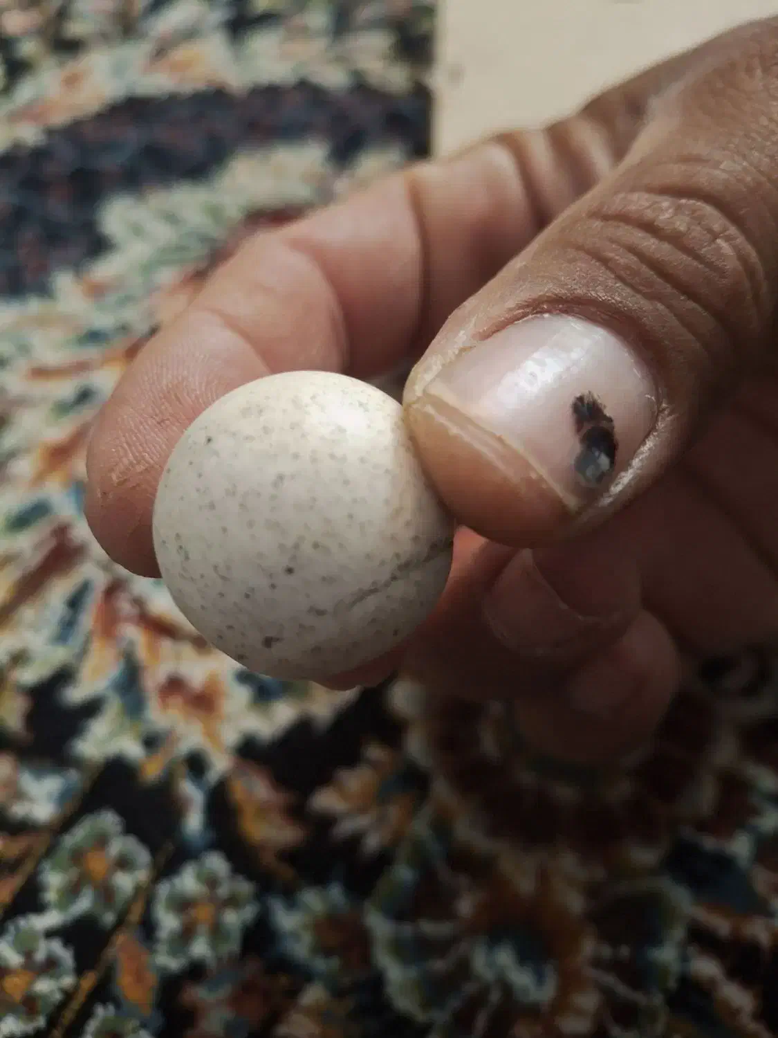 سنگ اسیاب|جواهرات|هرسین, |دیوار