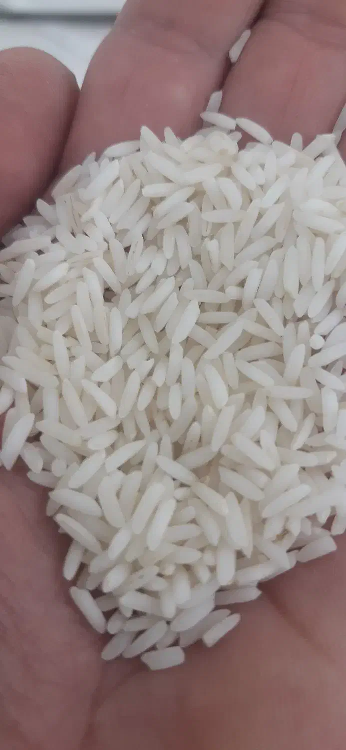 برنج|خوردنی و آشامیدنی|گنبد کاووس, |دیوار