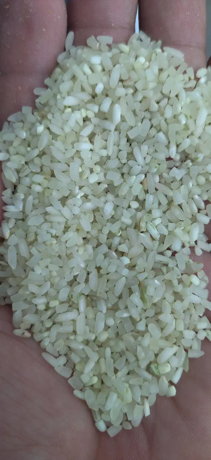 برنج عنبربو شوشتر درجه1 نیم دانه برنج|خوردنی و آشامیدنی|شیراز, تندگویان|دیوار