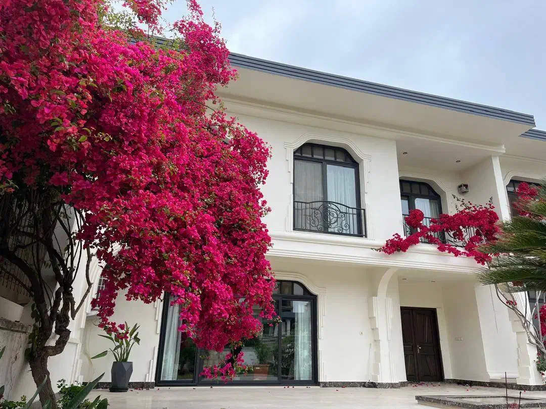 ۸۵۰ متر خانه قدیمی جمسی|فروش خانه و ویلا|داراب, |دیوار