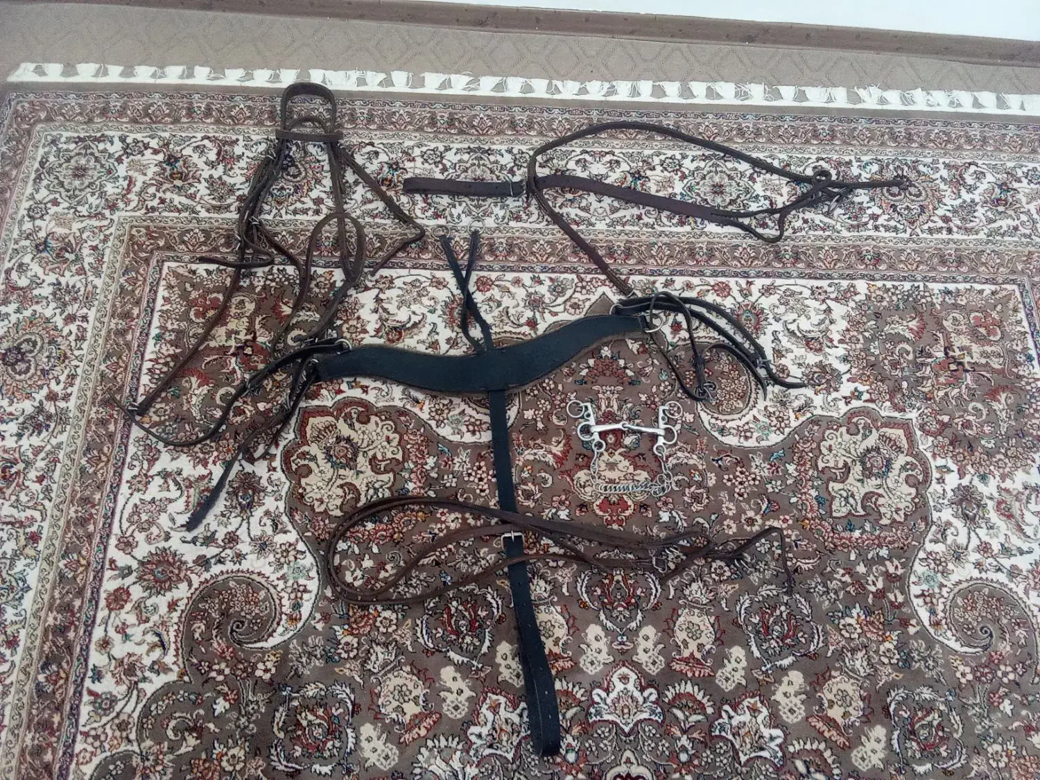 تجهیزات سوار کاری|اسب و تجهیزات اسب‌سواری|لنجان, |دیوار