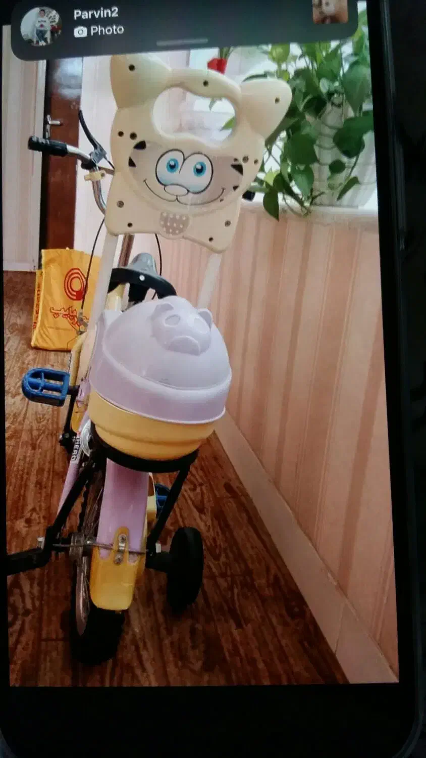 دوچرخه|دوچرخه، اسکیت، اسکوتر|شیراز, کلاهدوز|دیوار