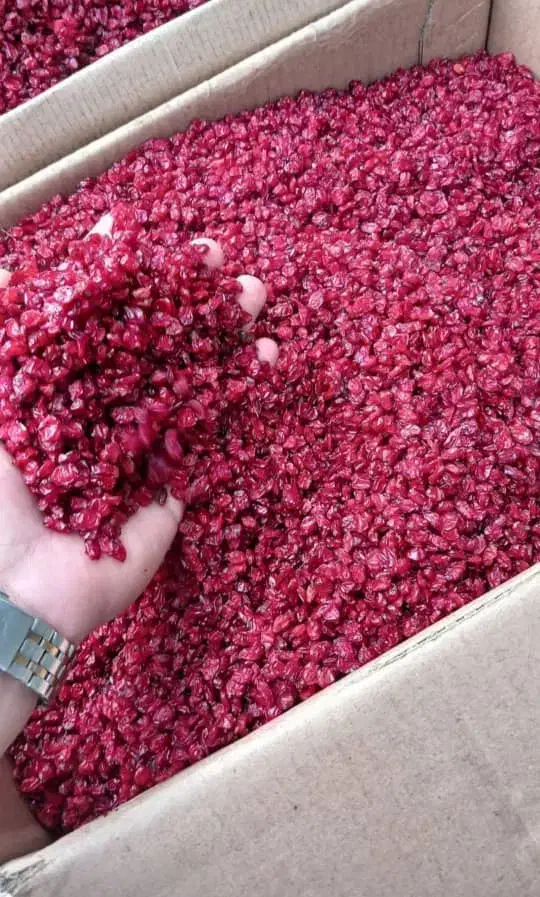 زرشک پفکی درجه ۱|خوردنی و آشامیدنی|رشت, چله خانه|دیوار