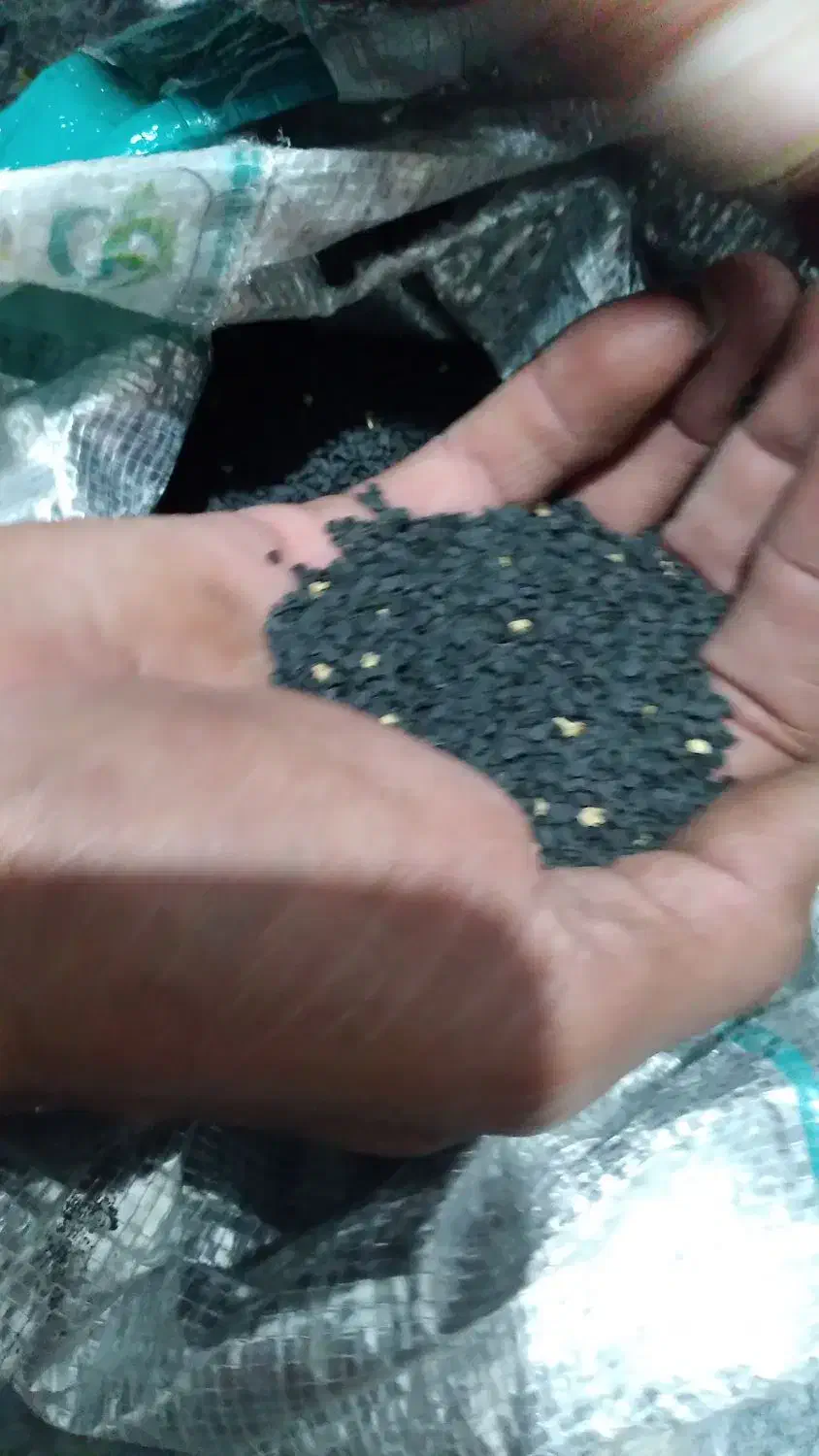 پیاز|خدمات باغبانی و درختکاری|عنبرآباد, |دیوار