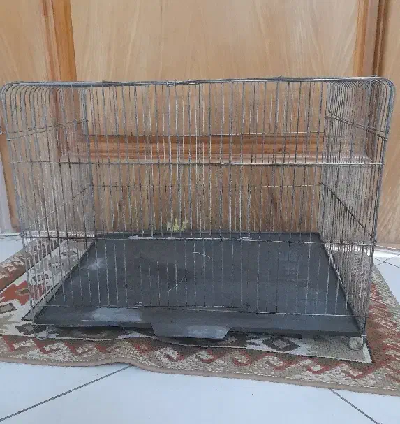 قفس پرنده|لوازم جانبی حیوانات|اصفهان, بهارستان (مخابرات)|دیوار