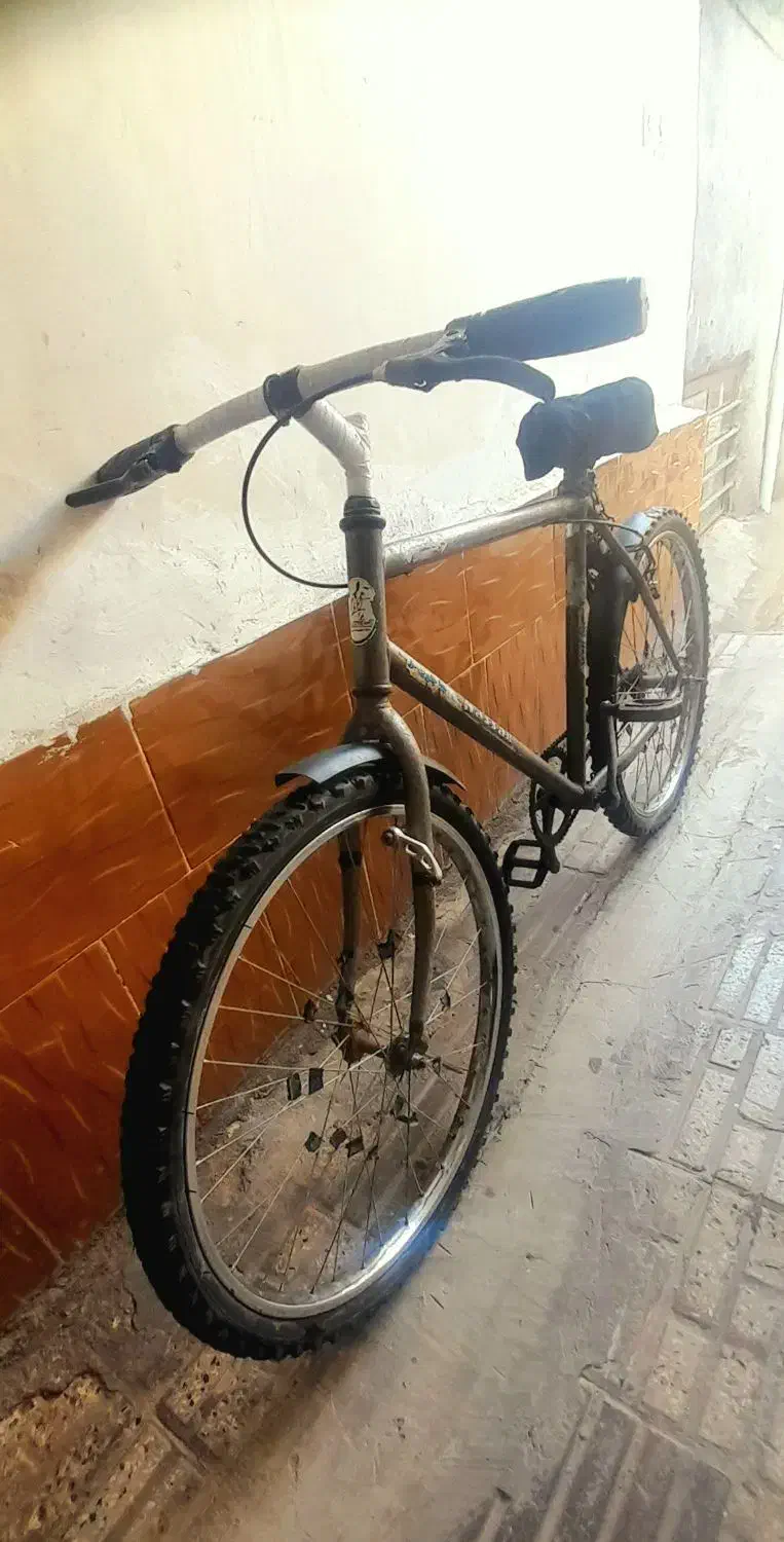 دوچرخه|دوچرخه، اسکیت، اسکوتر|تربت جام, جامی|دیوار