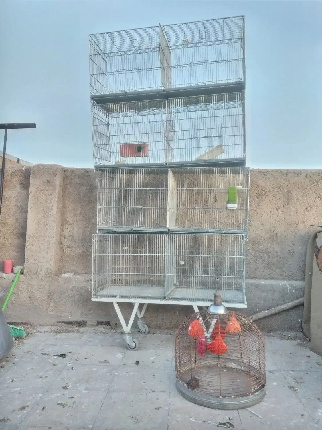 قفس غلامی|لوازم جانبی حیوانات|شیراز, کوشک میدان|دیوار