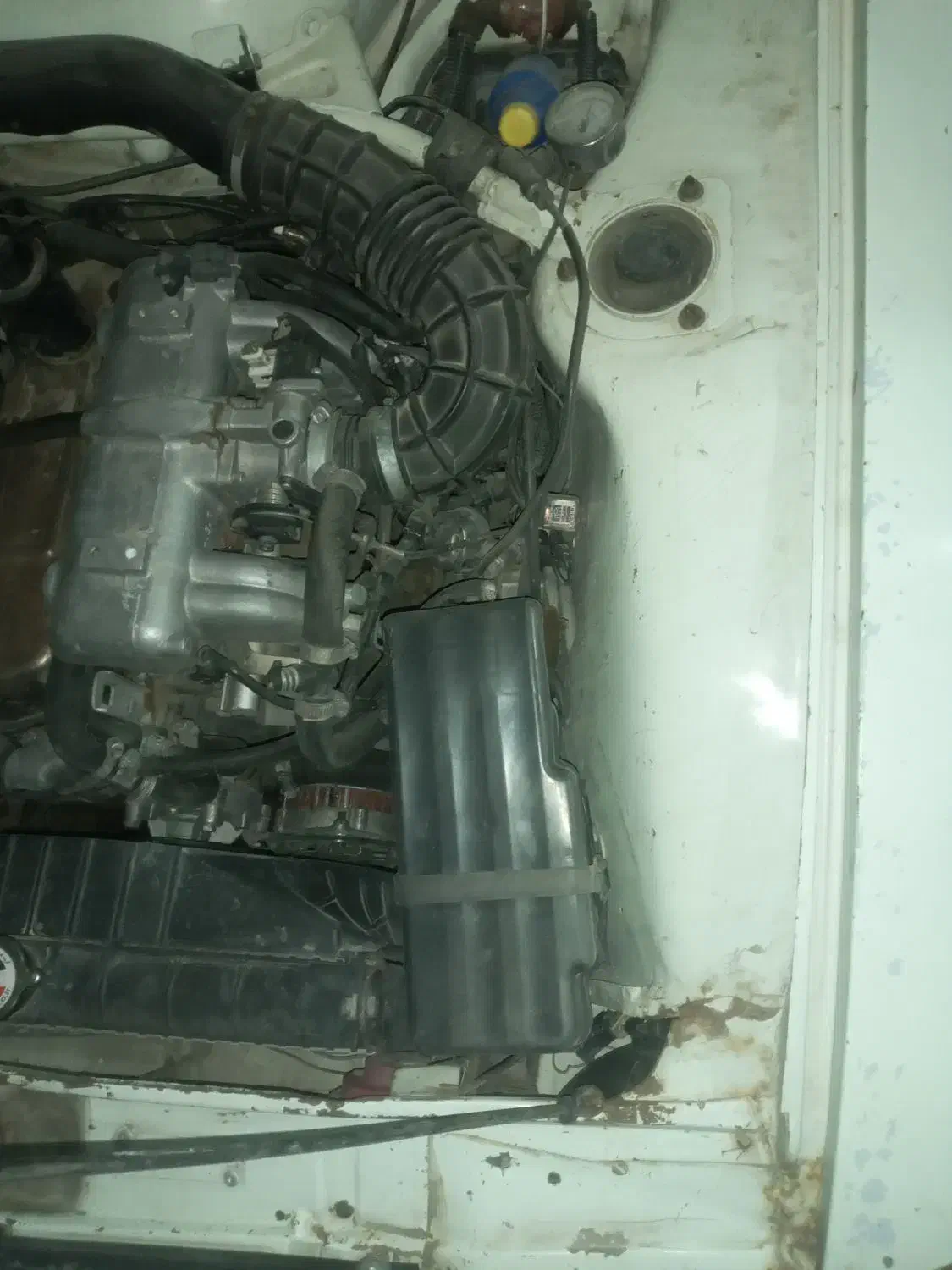 فروش پیکان وانت|خودرو سواری و وانت|سنندج, |دیوار