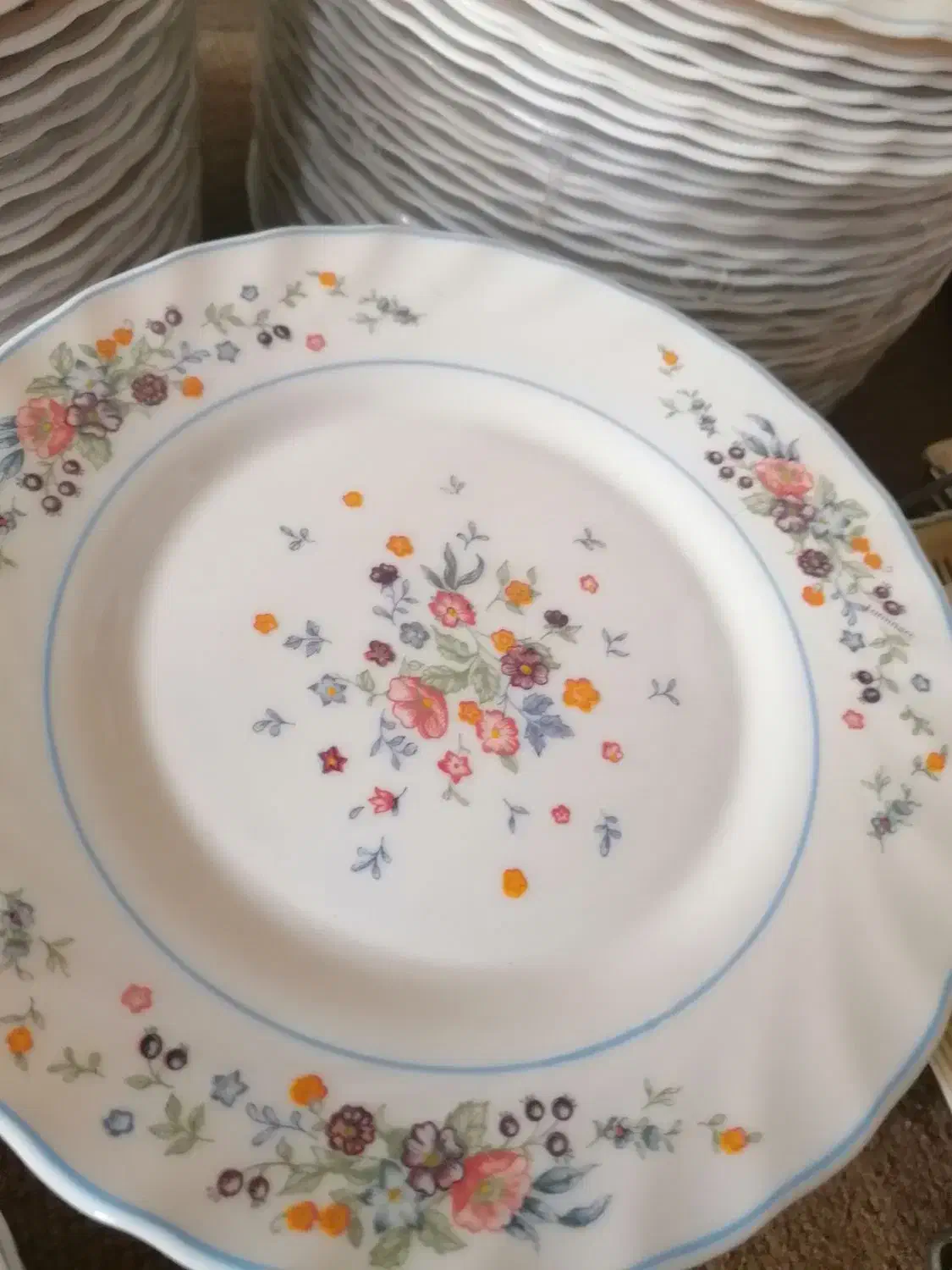 ارکوپال ویکتوریا اصل فرانسه|ظروف سرو و پذیرایی|اصفهان, دانشگاه افسری امیرالمومنین|دیوار