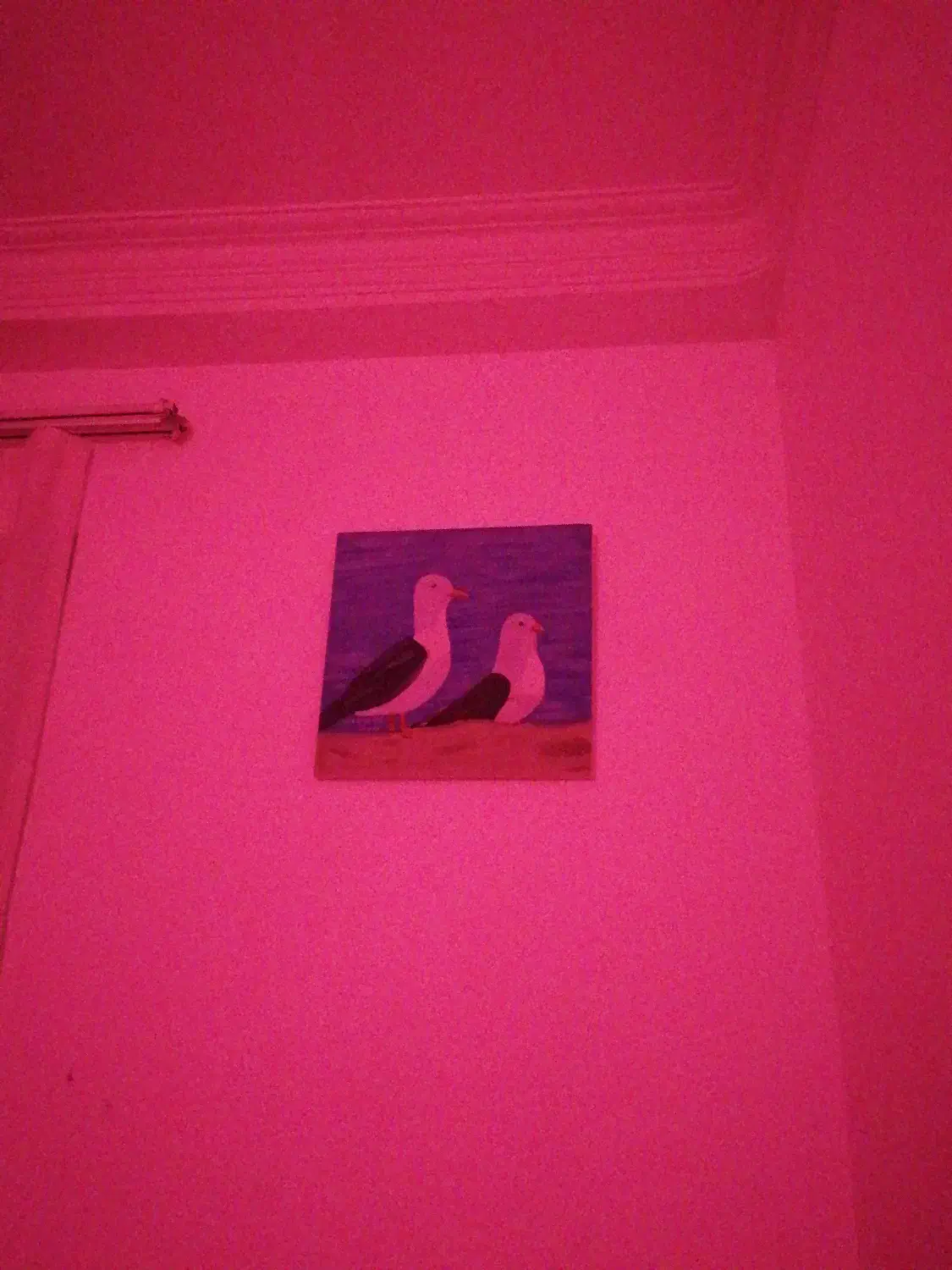 ری را سفید خشک مدل 1404|خودرو سواری و وانت|ساری, |دیوار