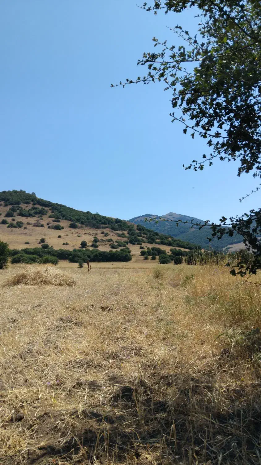 زمین روستای سقزچی|فروش زمین و ملک کلنگی|ویلکیج, |دیوار