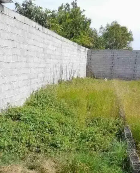 فروش زمین45Mمحدوده کمربندی|فروش زمین و ملک کلنگی|امیرکلا, |دیوار