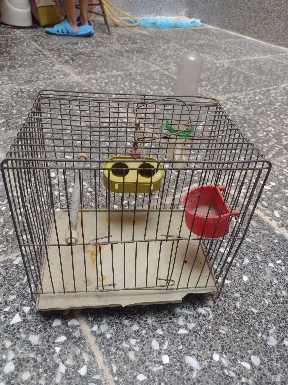 وسایل پرنده|لوازم جانبی حیوانات|نسیم‌شهر, |دیوار