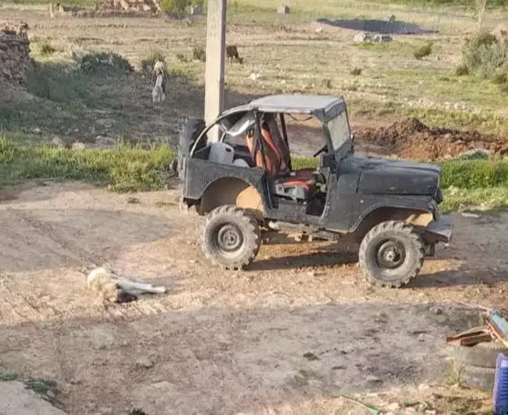 جیپ صحراافرود۶۸|خودرو سواری و وانت|شاهرود, |دیوار