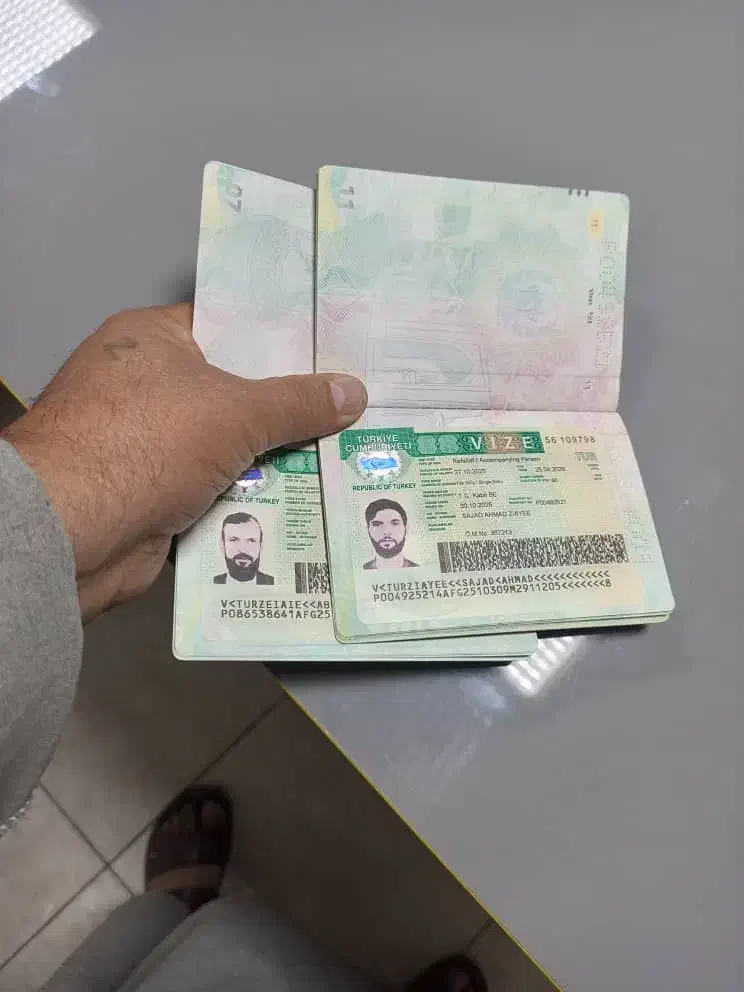 ویزه ترکیه|خدمات حمل و نقل|شیراز, فرهنگ شهر|دیوار