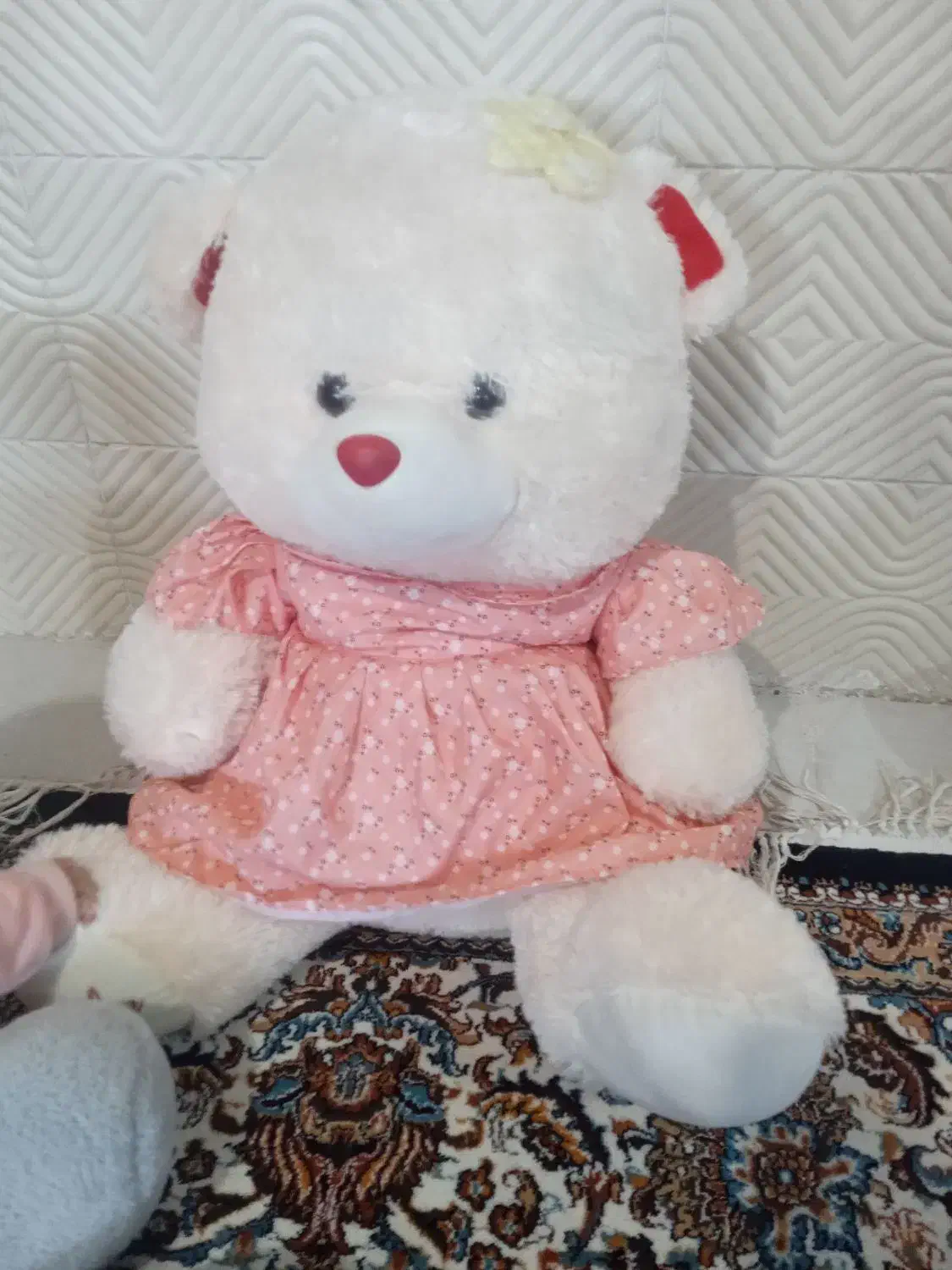 عروسک|اسباببازی بچه|مرودشت, ثبت احوال|دیوار