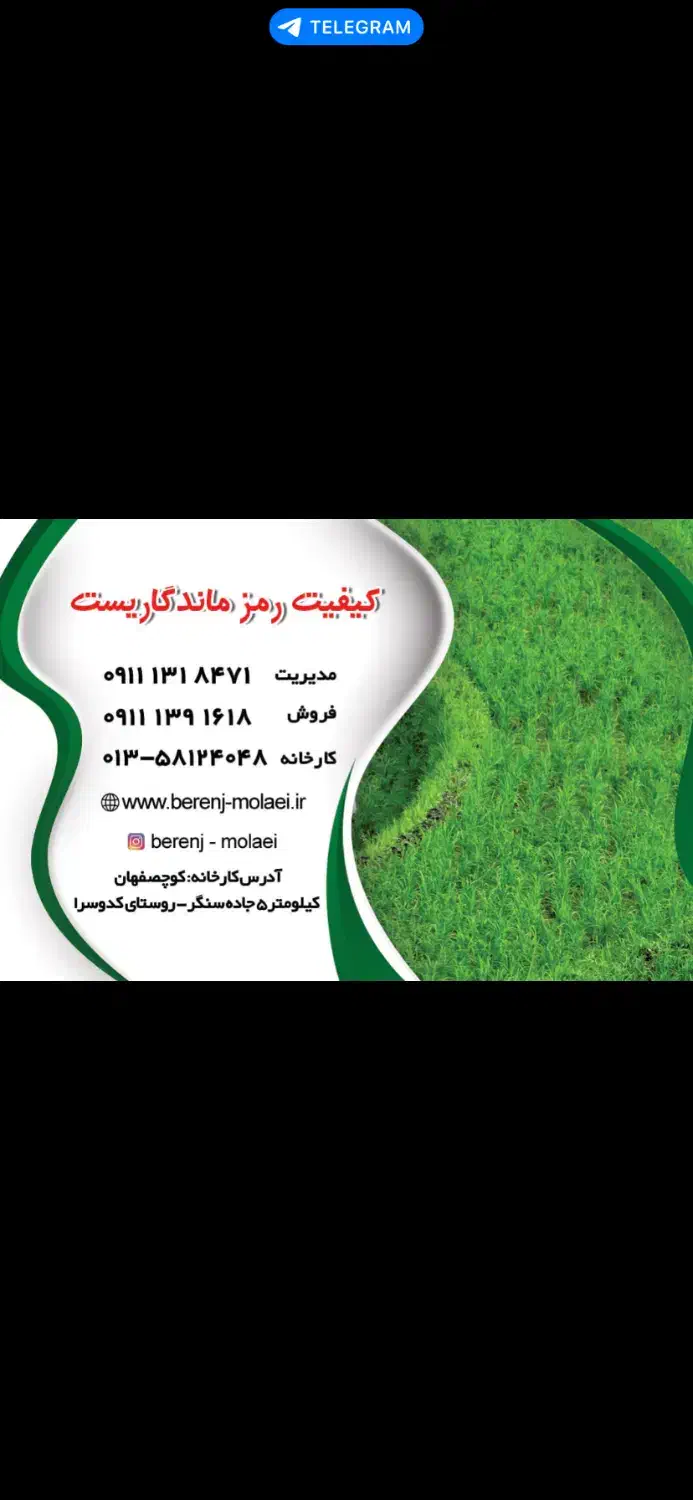 تولید کننده انواع برنج های دم سیاه هاشمی|خوردنی و آشامیدنی|سنگر, |دیوار