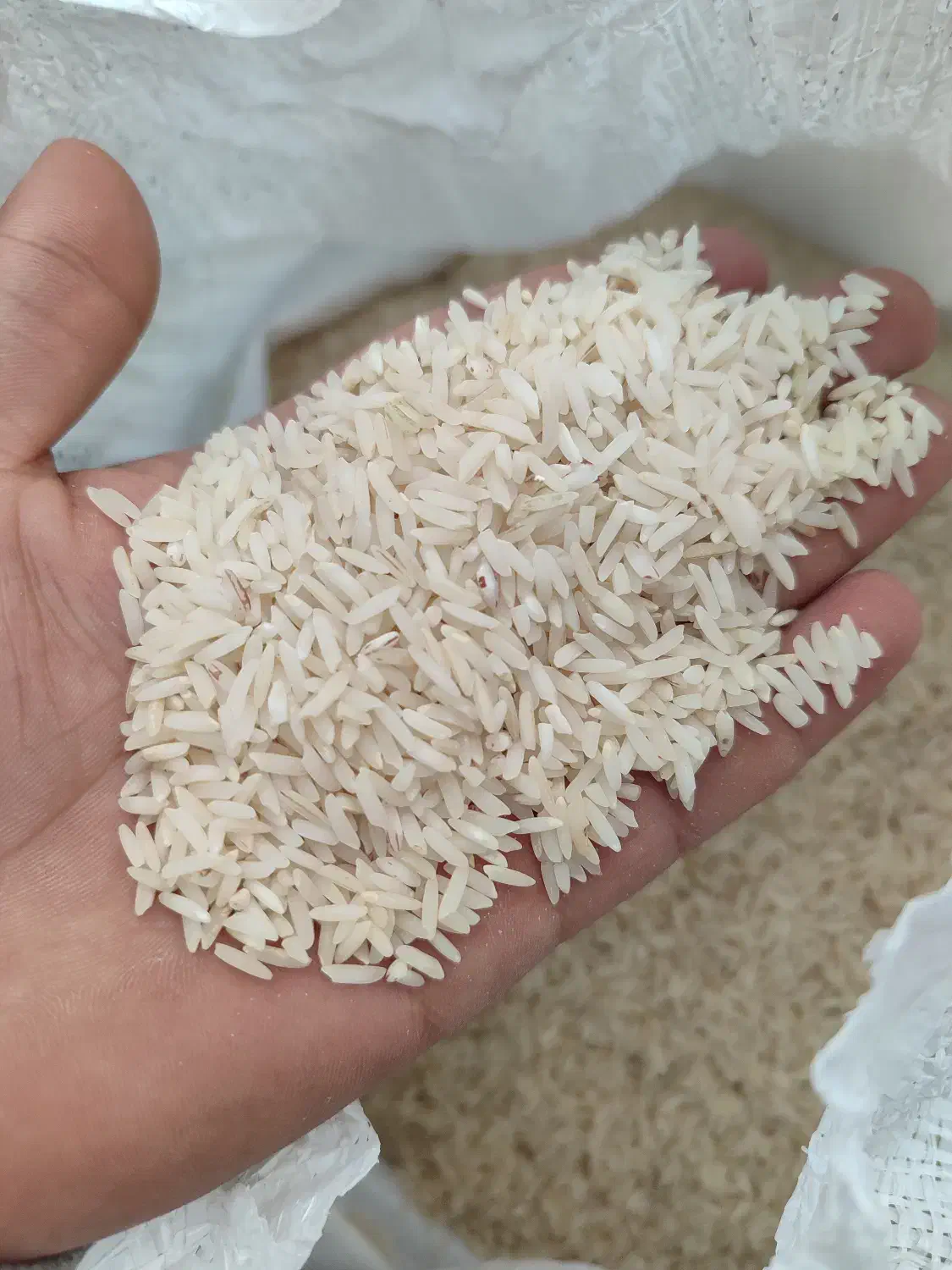 برنج طارم هاشمی|خوردنی و آشامیدنی|گمیشان, |دیوار