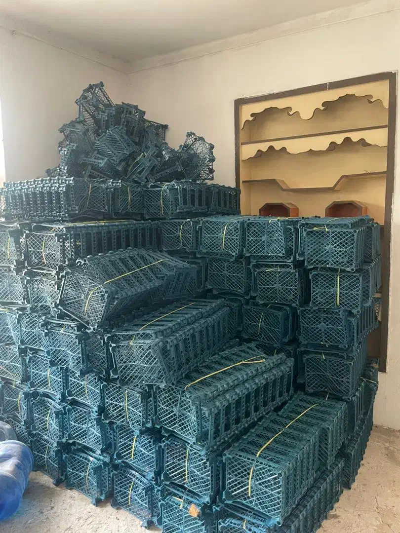 سبد میوه|ظروف نگهدارنده، پلاستیکی، یک‌بارمصرف|پارس‌آباد, |دیوار