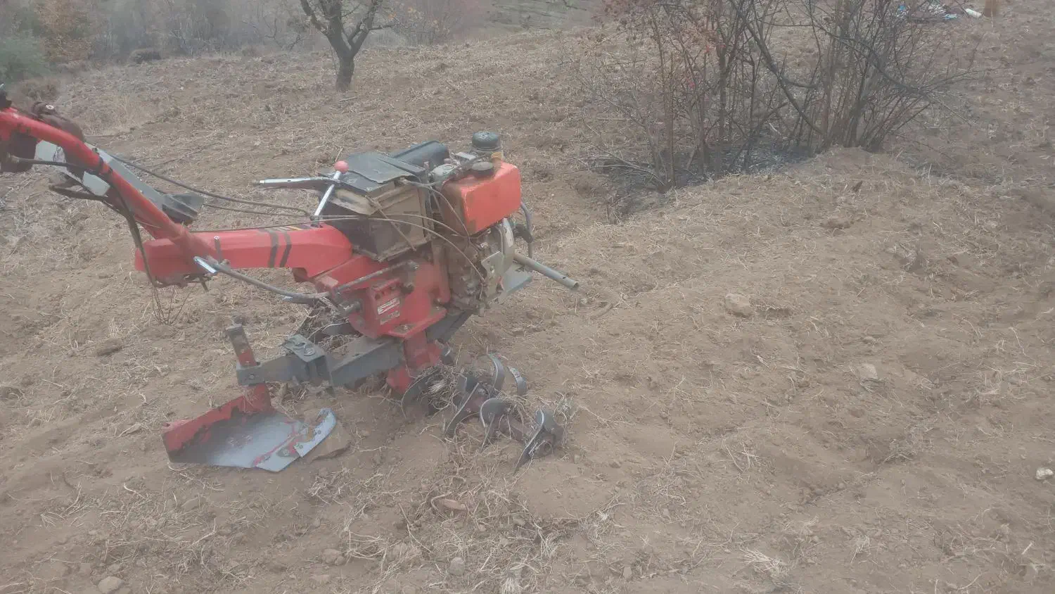 شخم باقات  حرص و خرید چوب درخت. سم پاشی|خدمات باغبانی و درختکاری|محمدیه-قزوین, |دیوار