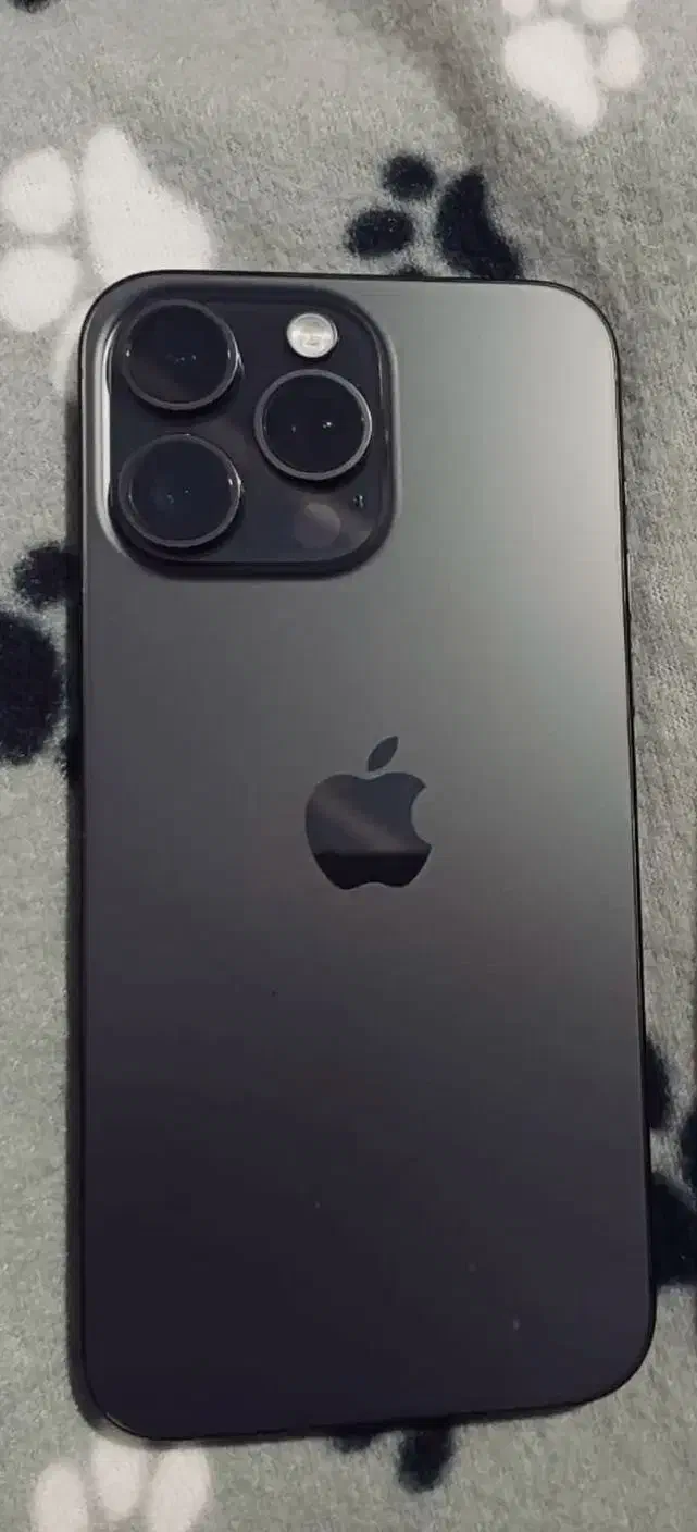 ایفن ۱۵ پرومکس ۲۵۶|موبایل|تهران, صادقیه|دیوار