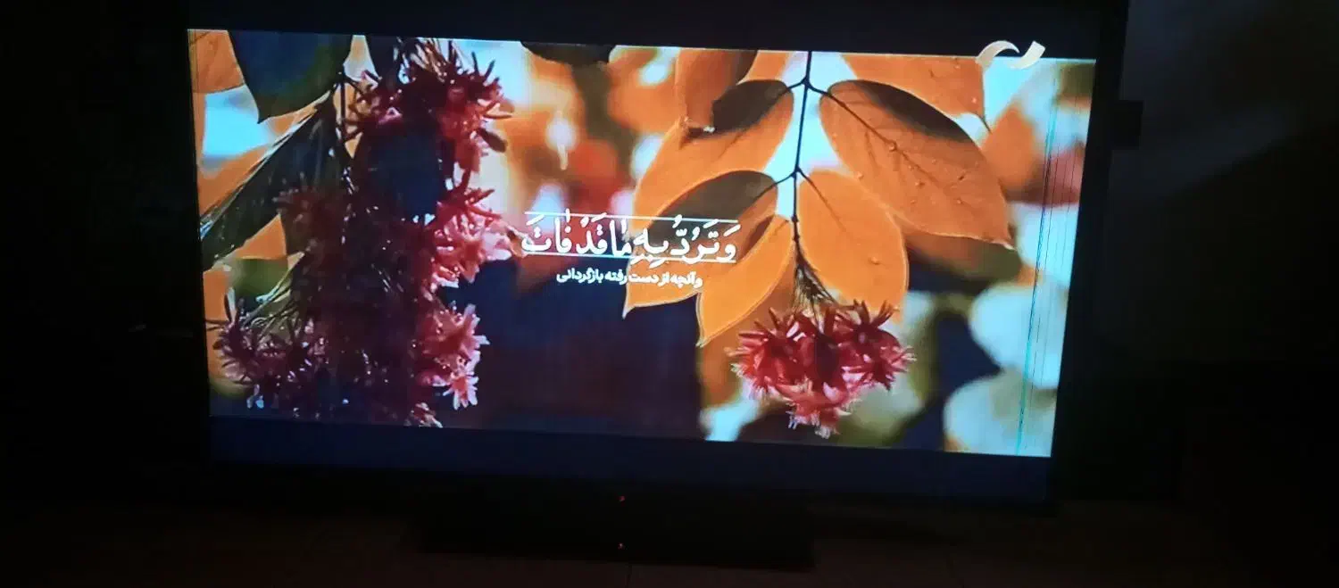 تلویزیون LED 50اینچ Full HD|تلویزیون و پروژکتور|ارومیه, |دیوار