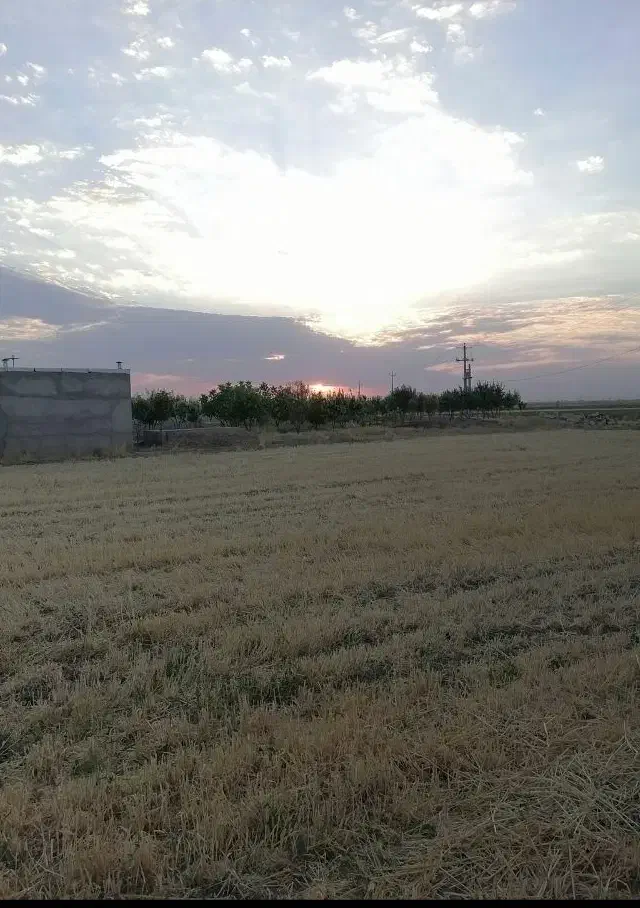 زمین کشاورزی و باغ|فروش دفتر صنعتی، کشاورزی، تجاری|کبودرآهنگ, |دیوار