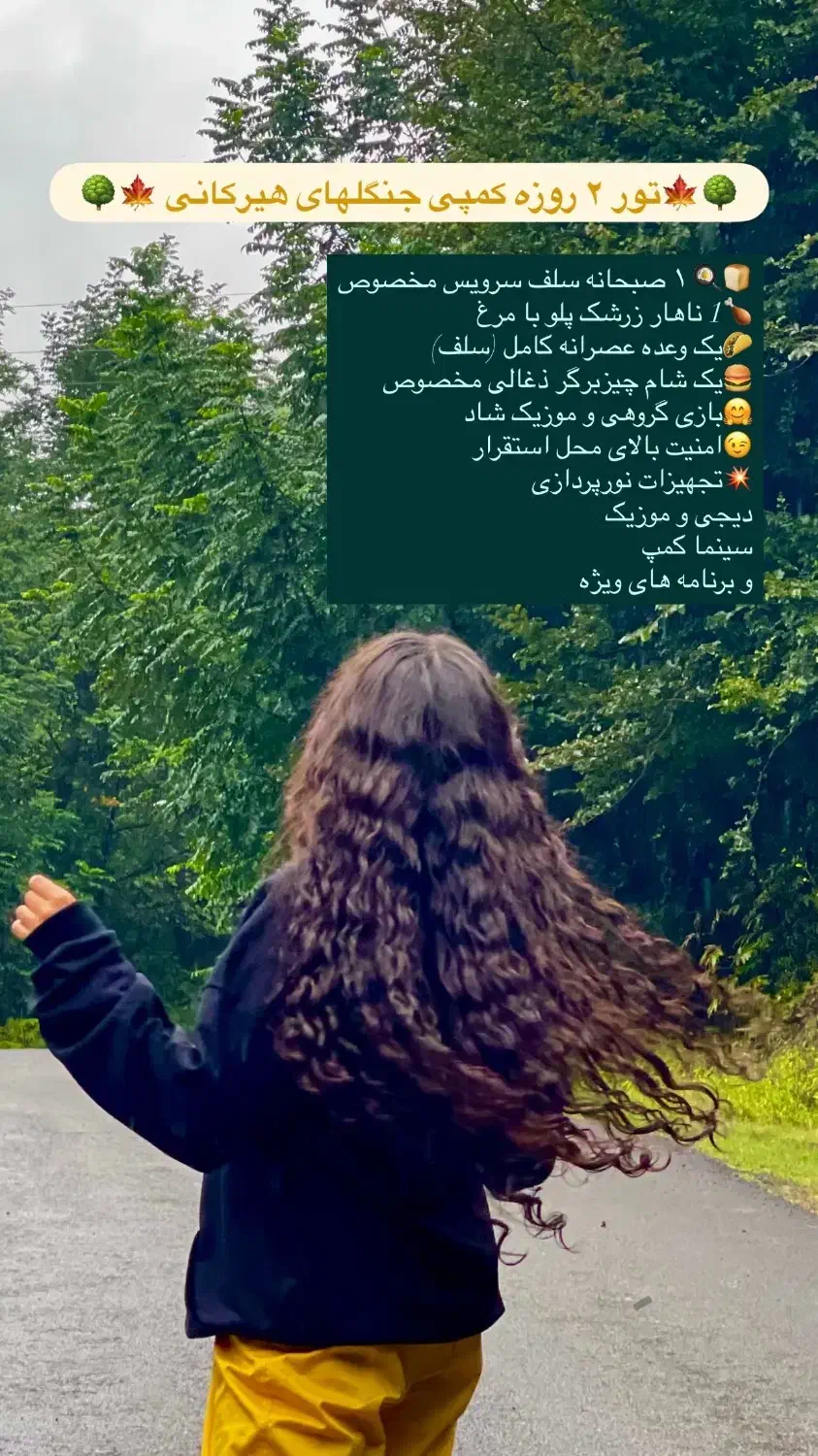 کمپ جنگل هیرکانی|تور و چارتر|آلاشت, |دیوار