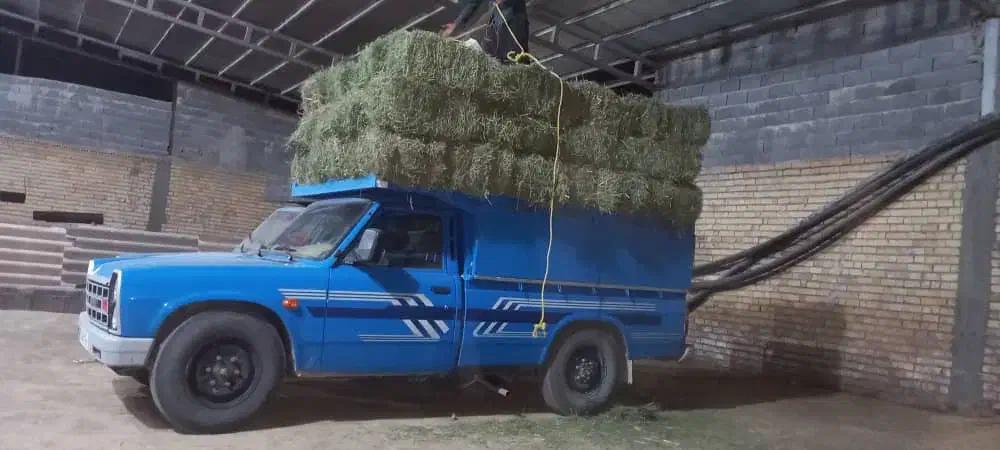 حمل نقل بار بانیسان باربری نیسان|خدمات حمل و نقل|کرمانشاه, |دیوار