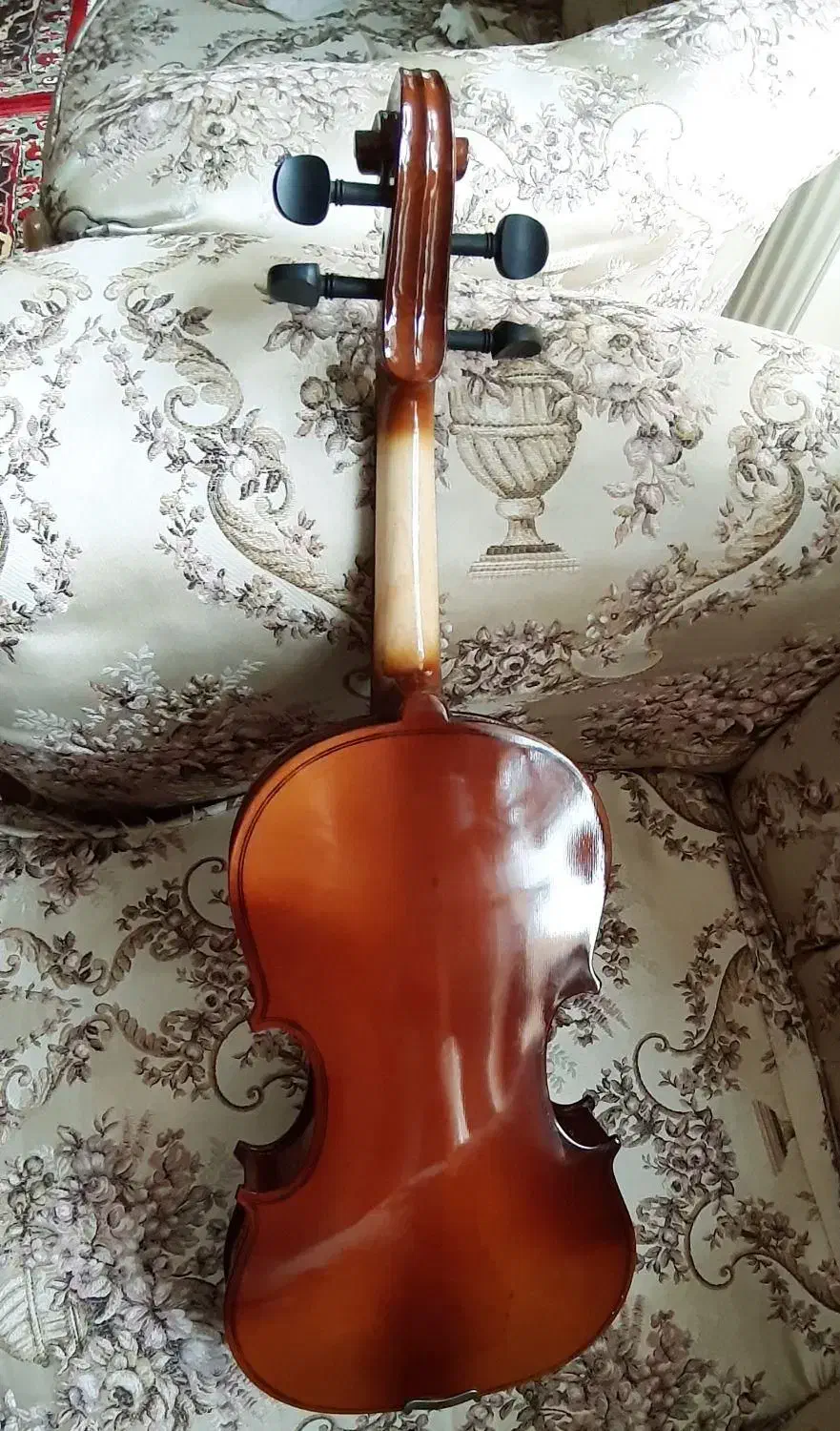 ویلن ماویز|ویولن|تبریز, |دیوار