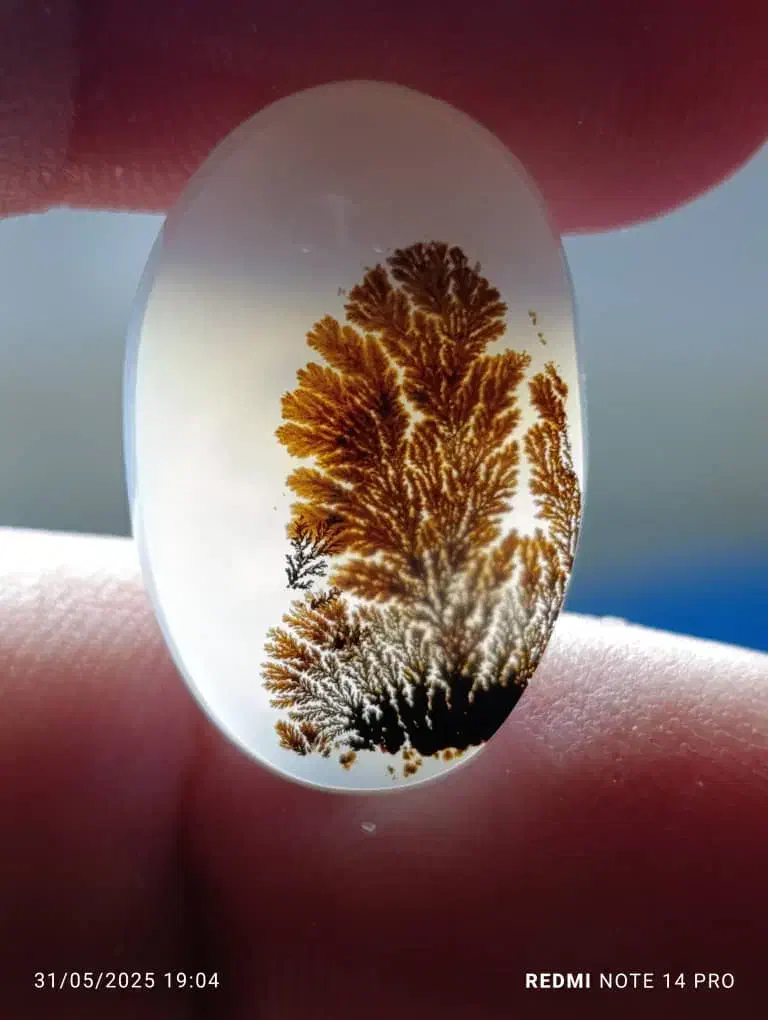 عقیق شجر قاین|جواهرات|اردبیل, |دیوار